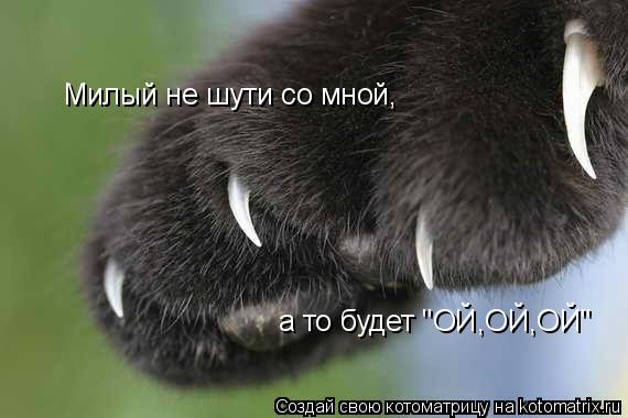 Котоматрица: Милый не шути со мной, а то будет "ОЙ,ОЙ,ОЙ"