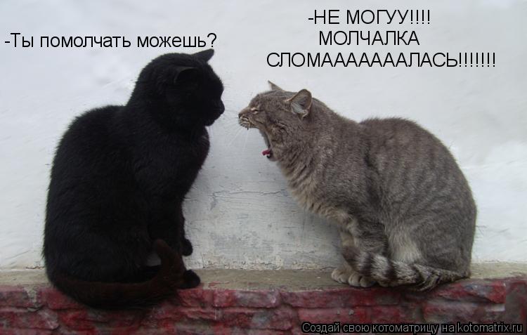 Котоматрица: -Ты помолчать можешь? -НЕ МОГУУ!!!! МОЛЧАЛКА  СЛОМАААААААЛАСЬ!!!!!!!