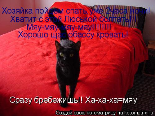 Хозяйка пойдем спать,уже 2часа ночи! Хватит с этой Люськой болтать!!! Мяу-мяу-мяу-мяу!!!!!!!! Хорошо ... Котоматрица: Хозяйка пойдем спать,уже 2часа ночи! Хватит с этой Люськой болтать!!! Мяу-мяу-мяу-мяу!!!!!!!! Хорошо щас обассу кровать! Сразу бребежишь!! Ха-ха-ха
