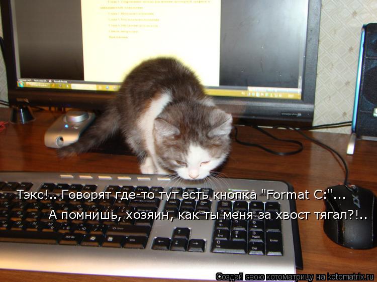 Тэкс!.. Говорят где-то тут есть кнопка "Format C:"... А помнишь, хозяин, как ты меня за хвост тягал?... Котоматрица: Тэкс!.. Говорят где-то тут есть кнопка "Format C:"... А помнишь, хозяин, как ты меня за хвост тягал?!..