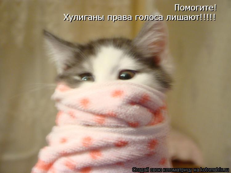 Помогите! Хулиганы права голоса лишают!!!!!... Котоматрица: Помогите! Хулиганы права голоса лишают!!!!!