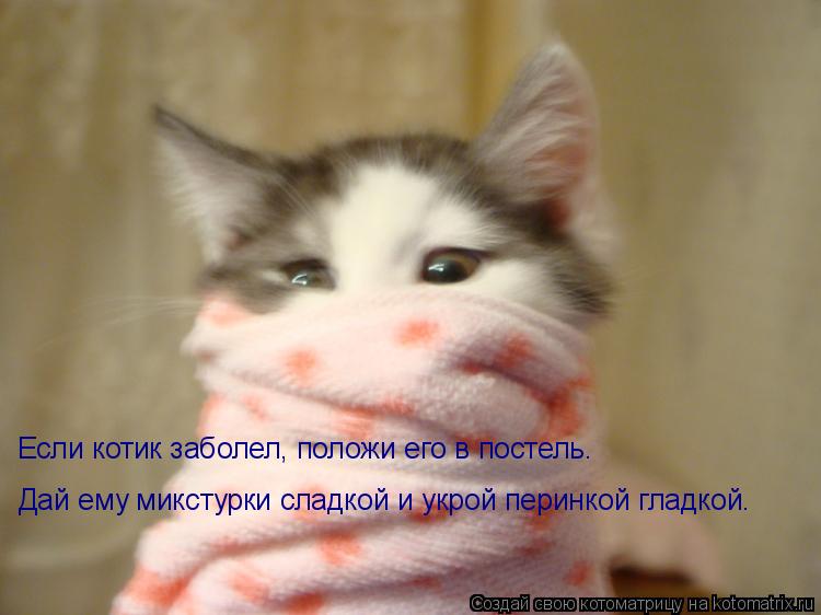 Котоматрица: Если котик заболел, положи его в постель. Дай ему микстурки сладкой и укрой перинкой гладкой.
