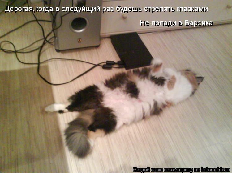Котоматрица: Дорогая,когда в следуйщий раз будешь стрелять глазками Не попади в Барсика