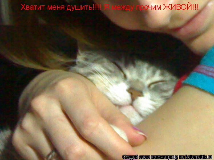 Котоматрица: Хватит меня душить!!!! Я между прочим ЖИВОЙ!!!