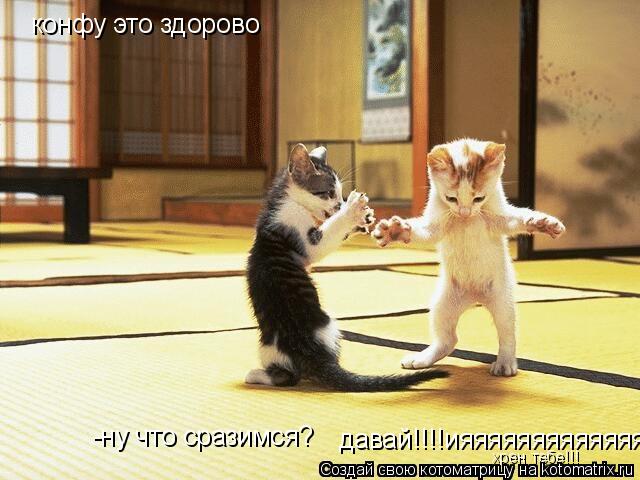Котоматрица: конфу это здорово -ну что сразимся? давай!!!!ияяяяяяяяяяяяяяяяя хрен тебе!!!