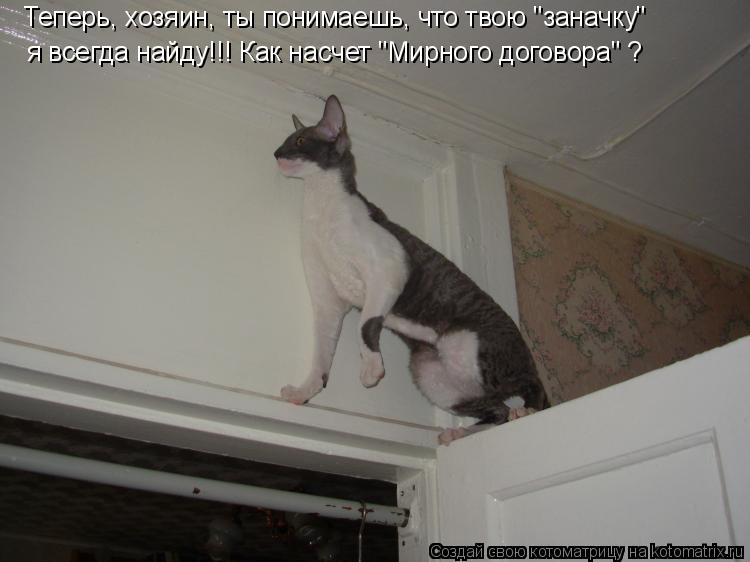 Котоматрица: Теперь, хозяин, ты понимаешь, что твою "заначку" я всегда найду!!! Как насчет "Мирного договора" ?