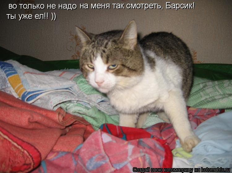 Котоматрица: во только не надо на меня так смотреть, Барсик!  ты уже ел!! ))