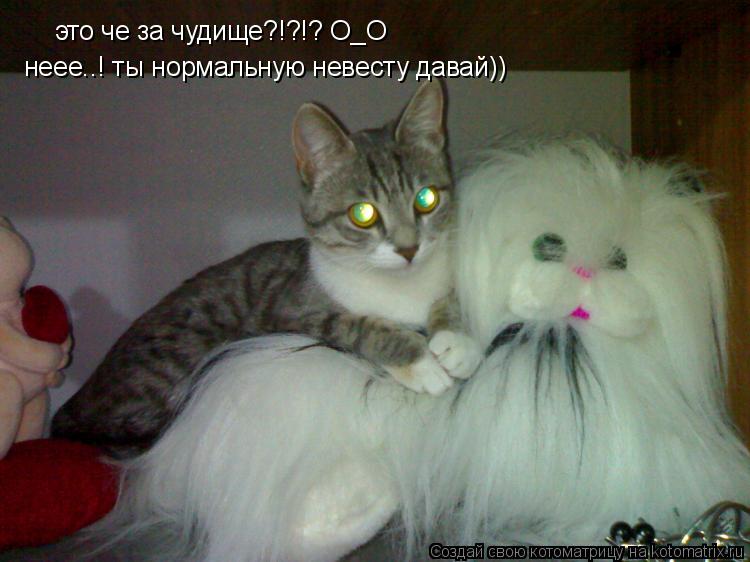Котоматрица: это че за чудище?!?!? О_О неее..! ты нормальную невесту давай))