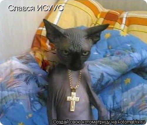 Котоматрица: Слався ИСУУС