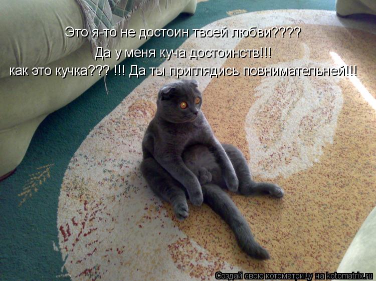 Это я-то не достоин твоей любви???? Да у меня куча достоинств!!! как это кучка??? !!! Да ты приглядис... Котоматрица: Это я-то не достоин твоей любви???? Да у меня куча достоинств!!! как это кучка??? !!! Да ты приглядись повнимательней!!!