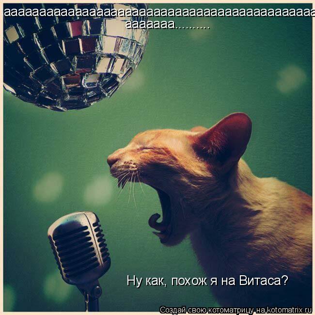 Котоматрица: аааааааааааааааааааааааааааааааааааааааааааа ааааааа.......... Ну как, похож я на Витаса?