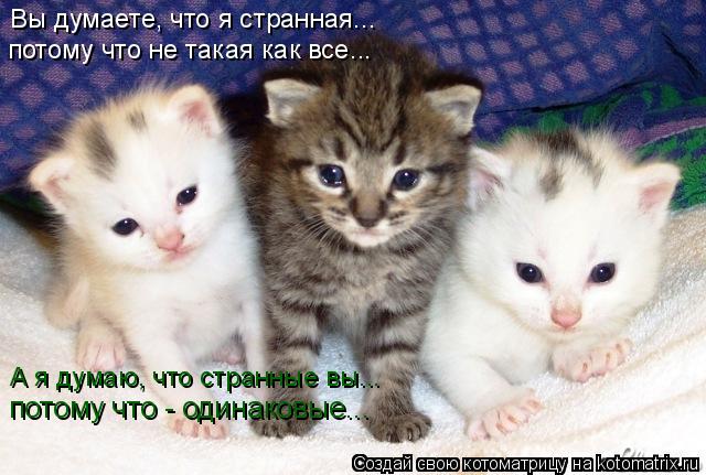 Котоматрица: Вы думаете, что я странная... потому что не такая как все... А я думаю, что странные вы... потому что - одинаковые...
