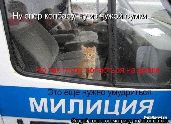 Котоматрица: Ну спёр колбасу, ну из чужой сумки... Но так глупо попасться на драке Это ещё нужно умудриться...