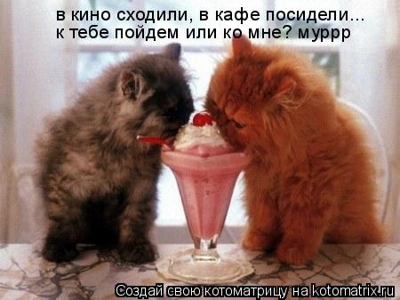 Котоматрица: в кино сходили, в кафе посидели... к тебе пойдем или ко мне? муррр
