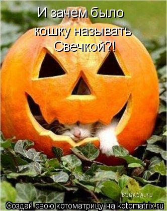 Котоматрица: И зачем было кошку называть Свечкой?!