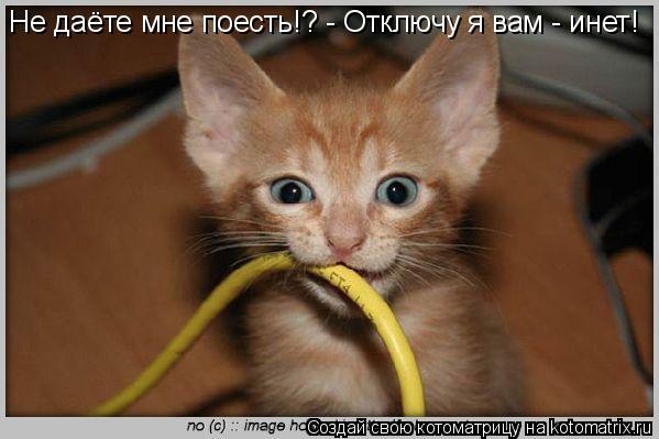 Котоматрица: Не даёте мне поесть!? - Отключу я вам - инет!