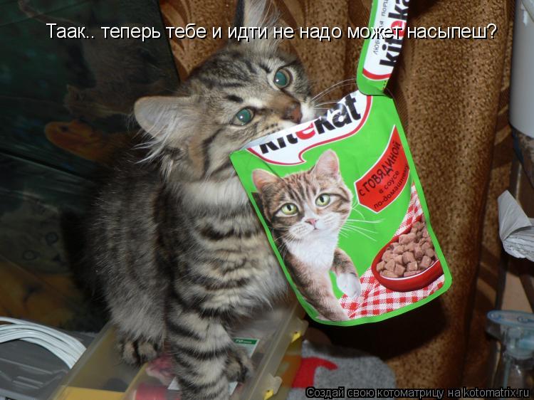 Котоматрица: Таак.. теперь тебе и идти не надо может насыпеш?