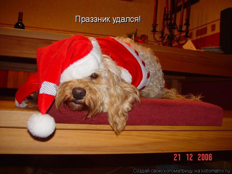 Котоматрица: Праззник удался!