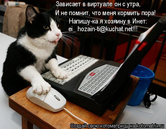 Котоматрица: Зависает в виртуале он с утра, И не помнит, что меня кормить пора! Напишу-ка я хозяину в Инет: ei_ hozain-ti@kuchat.net!!!