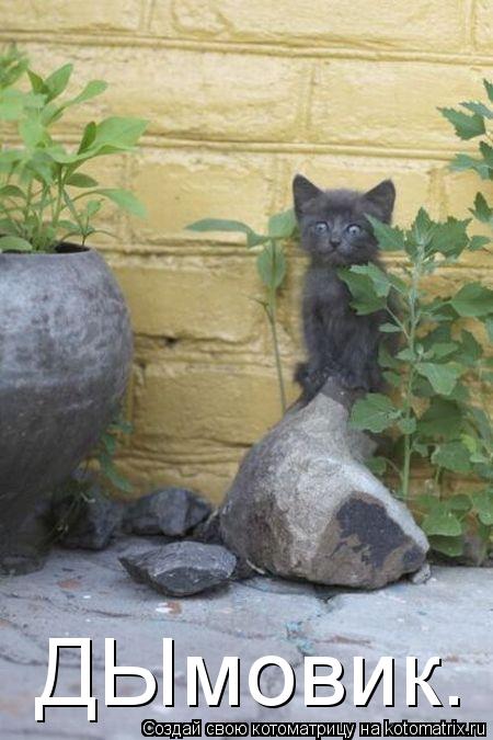 Котоматрица: ДЫмовик.