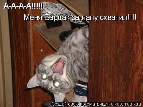 Котоматрица: А-А-А-А!!!!! А-А-А-А!!!!! Меня Бардак за лапу схватил!!!! Меня Бардак за лапу схватил!!!!