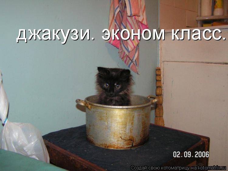 Котоматрица: джакузи. эконом класс.