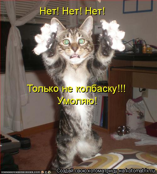 Котоматрица: Нет! Нет! Нет! Только не колбаску!!! Умоляю!