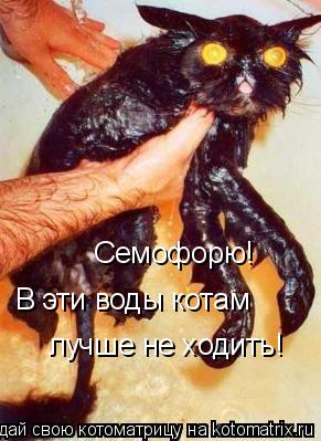 Котоматрица: Семофорю! В эти воды котам лучше не ходить!