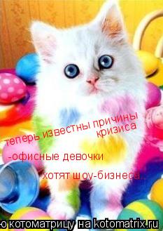 Котоматрица: теперь известны причины кризиса -офисные девочки  хотят шоу-бизнеса...