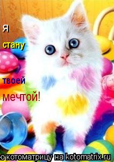 твоей стану я мечтой!... Котоматрица: твоей стану я мечтой!