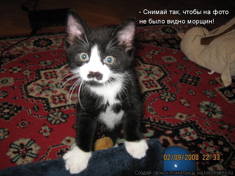 Котоматрица: - Снимай так, чтобы на фото  не было видно морщин!