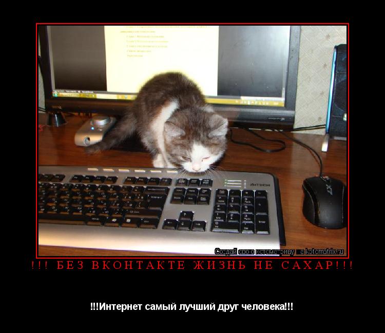 !!! Без Вконтакте жизнь не сахар!!! !!!Интернет самый лучший друг человека!!!... Котоматрица: !!! Без Вконтакте жизнь не сахар!!! !!!Интернет самый лучший друг человека!!!