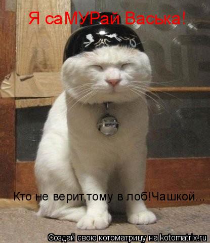 Котоматрица: Я саМУРай Васька! Кто не верит,тому в лоб!Чашкой...