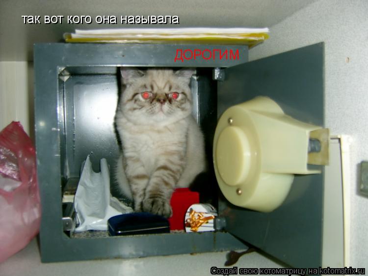Котоматрица: так вот кого она называла ДОРОГИМ