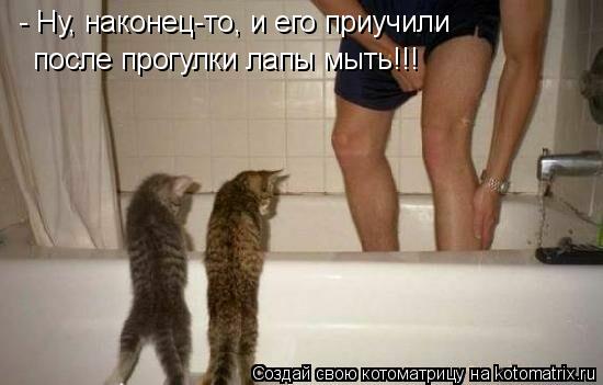 - Ну, наконец-то, и его приучили после прогулки лапы мыть!!!... Котоматрица: - Ну, наконец-то, и его приучили после прогулки лапы мыть!!!