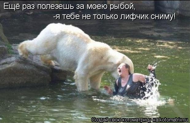 Ещё раз полезешь за моею рыбой, -я тебе не только лифчик сниму!... Котоматрица: Ещё раз полезешь за моею рыбой, -я тебе не только лифчик сниму!