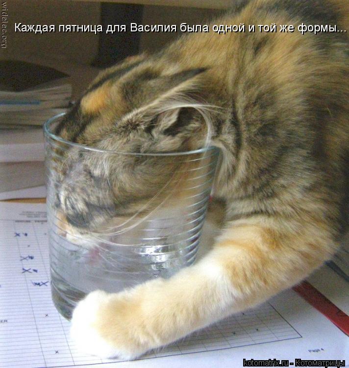 Каждая пятница для Василия была одной и той же формы...... Котоматрица: Каждая пятница для Василия была одной и той же формы...
