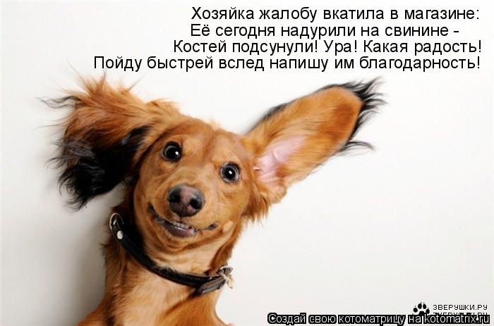 Хозяйка жалобу вкатила в магазине: Её сегодня надурили на свинине - Костей подсунули! Ура! Какая радо... Котоматрица: Хозяйка жалобу вкатила в магазине: Её сегодня надурили на свинине - Костей подсунули! Ура! Какая радость! Пойду быстрей вслед напишу им благ