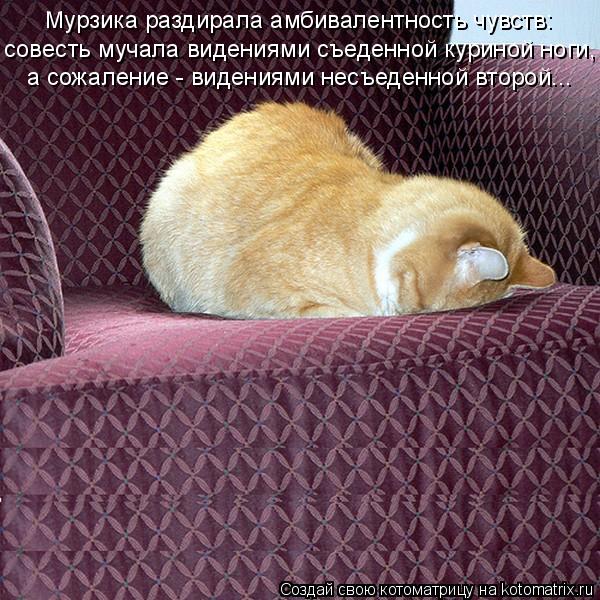 Мурзика раздирала амбивалентность чувств: совесть мучала видениями съеденной куриной ноги, а сожалени... Котоматрица: Мурзика раздирала амбивалентность чувств: совесть мучала видениями съеденной куриной ноги, а сожаление - видениями несъеденной второй...