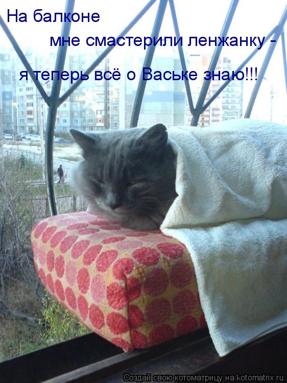 Котоматрица: На балконе  мне смастерили ленжанку - я теперь всё о Ваське знаю!!!