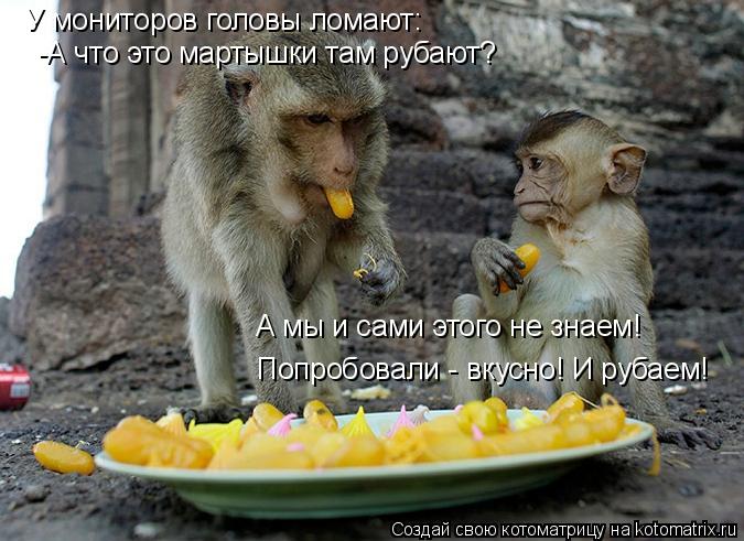 Котоматрица: У мониторов головы ломают: -А что это мартышки там рубают? Попробовали - вкусно! И рубаем! А мы и сами этого не знаем!
