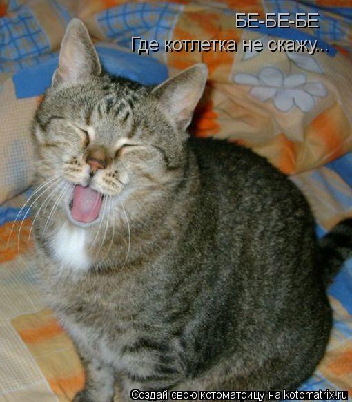 Котоматрица: БЕ-БЕ-БЕ Где котлетка не скажу...