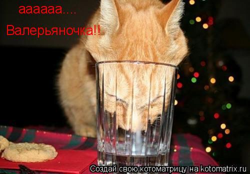 Котоматрица: аааааа.... Валерьяночка!!