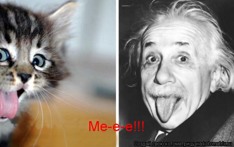 Котоматрица: Me-e-e!!!