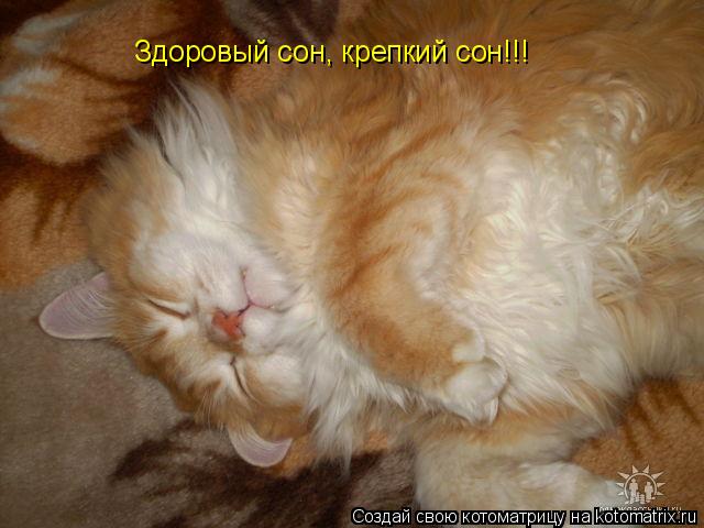 Котоматрица: Здоровый сон, крепкий сон!!!