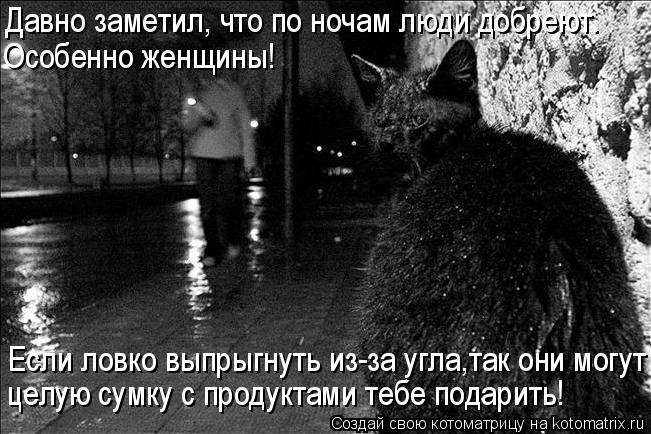 целую сумку с продуктами тебе подарить! Давно заметил, что по ночам люди добреют. Если ловко выпрыгну... Котоматрица: целую сумку с продуктами тебе подарить! Давно заметил, что по ночам люди добреют. Если ловко выпрыгнуть из-за угла,так они могут Особенно же