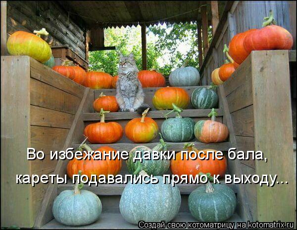 Во избежание давки после бала, кареты подавались прямо к выходу...... Котоматрица: Во избежание давки после бала, кареты подавались прямо к выходу...