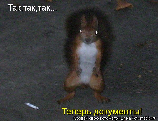 Котоматрица: Так,так,так... Теперь документы!