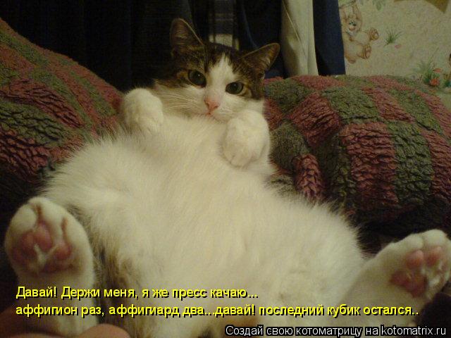 Котоматрица: аффигион раз, аффигиард два...давай! последний кубик остался.. Давай! Держи меня, я же пресс качаю... Давай! Держи меня, я же пресс качаю...