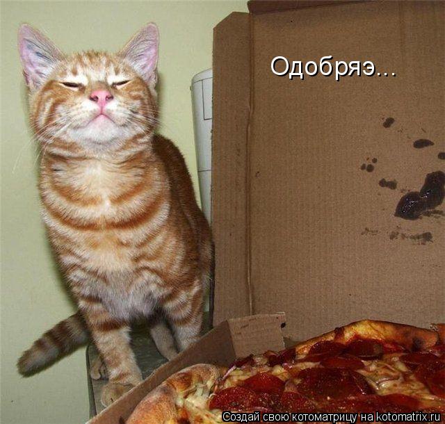 Котоматрица: Одобряэ...